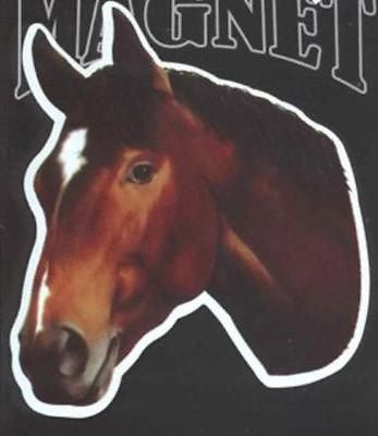 Die-cut THOROUGHBRED BAY Horse Flexible Vinyl Car Magnet...Clearance Priced