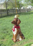Quality Glass GERMAN SHORTHAIR III Blown Glass Dog Breed Christmas Ornament