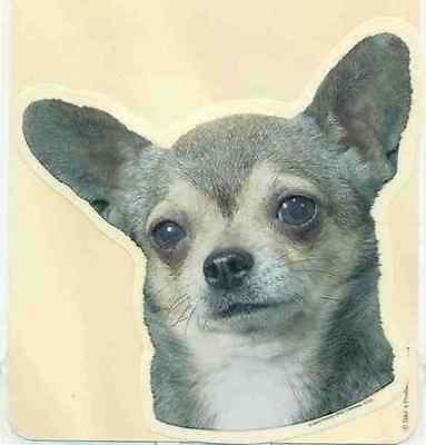 Car Window CHIHUAHUA GREY/TAN Dog Decal 2-sided...Clearance Priced