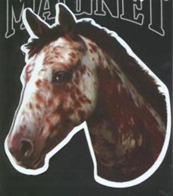 Die-cut APPALOOSA Horse Head Flexible Vinyl Car Magnet...Clearance Priced