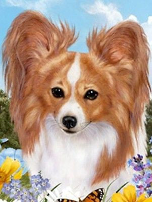 Dog Breed Flag Papillion Red Dog Small Size Outdoor Garden Flag