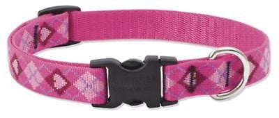 Lupine 3/4" wide PUPPY LOVE Adjustable Nylon Dog Collar size 15-25"
