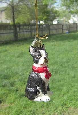 Quality Glass BOSTON TERRIER III Blown Glass Dog Breed Christmas Ornament