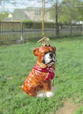 Quality Glass ENGLISH BULLDOG III Blown Glass Dog Breed Christmas Ornament