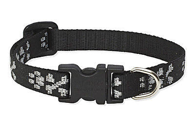 Lupine 1/2" wide LIL BLING Adjustable Nylon Dog Collar size 6-9"