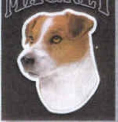 Car Magnet JACK RUSSELL TERRIER Dog Die-cut Vinyl...Clearance Priced