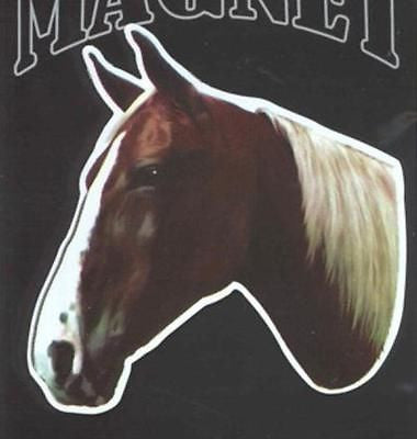 Die-cut TENNESSEE WALKIN HORSE Head Vinyl Car Magnet...Clearance Priced