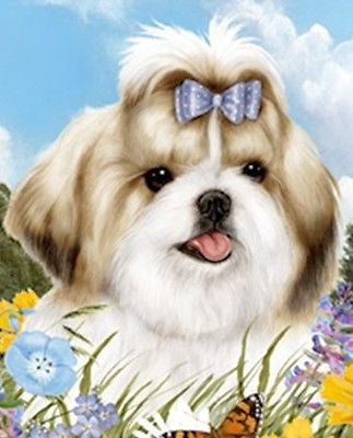 Dog Breed Flag Shih Tzu Gold White Dog Small Size Outdoor Garden Flag