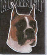 Car Magnet BOXER Dog Breed Die-cut Vinyl...Clearance Priced