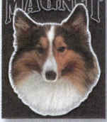 Car Magnet SHELTIE Dog Breed Die-cut Vinyl...Clearance Priced