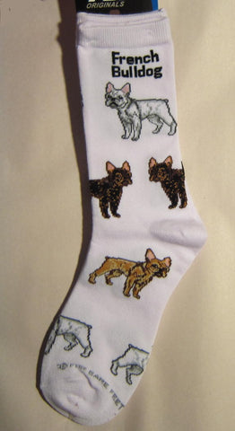 Adult Medium FRENCH BULLDOG Dog Breed Poses Footwear Dog Socks 6-11