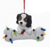 DogBone CAVALIER KING CHARLES TRI w/Dog Bone Resin Xmas Ornament