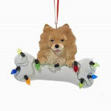 DogBone POMERANIAN w/Dog Bone Resin Christmas Ornament