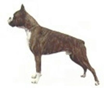 Car Window BOXER  Dog Breed Decal 2-sided...Clearance Priced