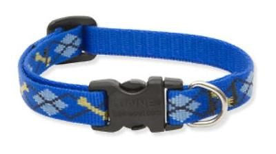 Lupine 1/2" wide DAPPER DOG Adjustable Nylon Dog Collar size 6-9"