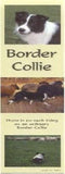 Bookmark BORDER COLLIE Laminated Paper set of 2...CLEARANCE PRICED