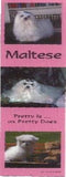 Bookmark MALTESE Laminated Paper set of 2...Clearance Priced