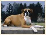 Dog Breed BOXER Boxed Paper Notecards 10 per box...Clearance Priced