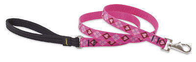 Lupine 3/4" wide PUPPY LOVE 4 foot Nylon Dog Leash Lead