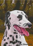 Outdoor Small Flag DALMATIAN Dog Breed Outdoor Garden Flag 12 x 17...Clearance Price