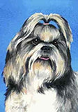 Garden Flag Shih Tzu Dog Small Outdoor Garden Flag made USA
