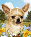 Dog Breed Flag Chihuahua Dog Small Size Outdoor Garden Flag