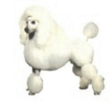 Car Window POODLE WHITE STANDING Dog Decal 2-sided...Clearance Priced