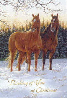 Xmas Cards Two HORSES in the Snow Holiday Cards 10 per box