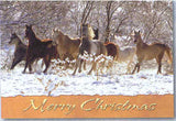 Xmas Cards HORSE HERD Snow Scene Holiday Cards 10 per box