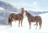 Xmas Cards Chestnut HORSES in Snowy Field Snow Scene Cards 10 per box