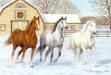 Xmas Cards Three HORSES with Barn Snow Scene Cards 10 per box