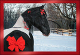 Xmas B/W Paint Horse w/Red Bow Holiday Cards 10 per box made in USA