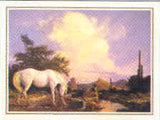 Xmas Cards WHITE HORSE Christmas Holiday Cards 10 per box