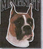 Car Magnet BOXER Dog Breed Die-cut Vinyl...Clearance Priced