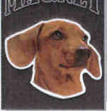 Car Magnet DACHSHUND Dog Breed Die-cut Vinyl...Clearance Priced