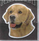 Car Magnet GOLDEN RETRIEVER Dog Breed Die-cut Vinyl...Clearance Priced