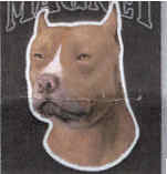 Car Magnet PITBULL Dog Breed Die-cut Vinyl...Clearance Priced