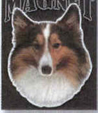 Car Magnet SHELTIE Dog Breed Die-cut Vinyl...Clearance Priced