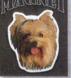 Car Magnet YORKSHIRE TERRIER Dog Breed Die-cut Vinyl...Clearance Priced