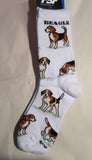 Adult Medium BEAGLE Dog Breed Poses Footwear Dog Socks 6-11