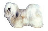 Car Window LHASA APSO Dog Breed Decal 2-sided...Clearance Priced