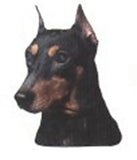 Car Window GERMAN PINSCHER Dog Breed Decal 2-sided...Clearance Priced