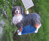 Old World Christmas BERNESE MOUNTAIN DOG Glass Dog Ornament w/OldWC box