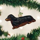 Old World Christmas DACHSHUND LONG HAIR Glass Dog Ornament w/OldWC box