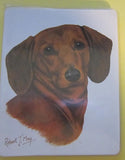 Retired Dog Breed DACHSHUND Vinyl Softcover Address Book by Robert May