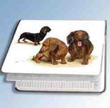 Retired Dog Breed DACHSHUND TRIO Vinyl Softcover Address Book by Robert May