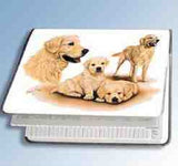 Retired Dog Breed GOLDEN RETRIEVER FAMILY Softcover Address Book by Robert May