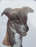 Retired Dog Breed GREYHOUND Vinyl Softcover Address Book by Robert May