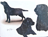 Retired Dog Breed LAB RETRIEVER BLK FAMILY Softcover Address Book by Robert May